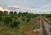 Non-developable land for sale on España, Corbera, ref: TR408358 photo