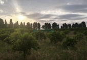 Non-developable land for sale on España, Corbera, ref: TR408358 photo