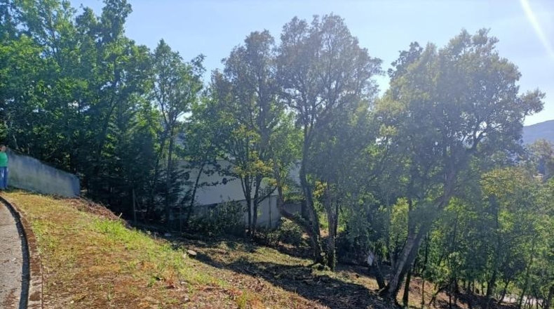 Orense - Ourense - 3042m2