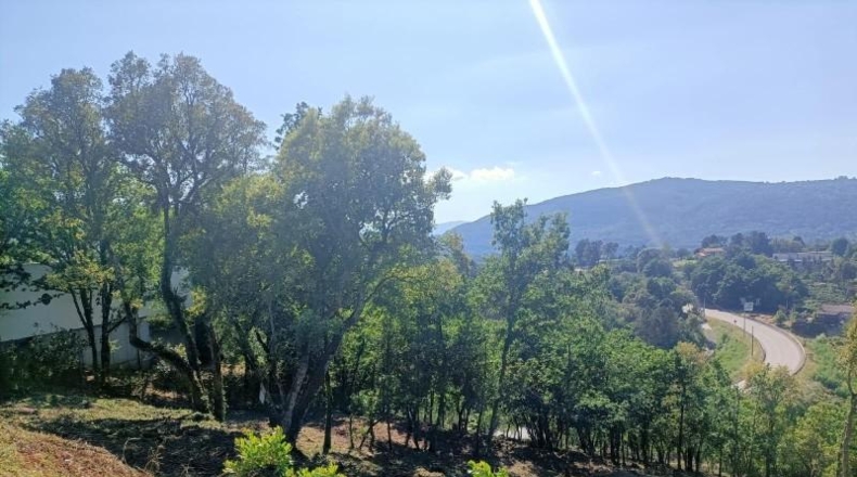 Orense - Ourense - 3042m2