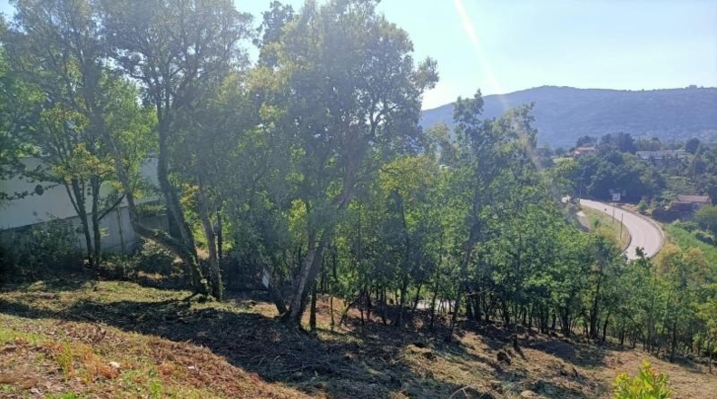 Orense - Ourense - 3042m2
