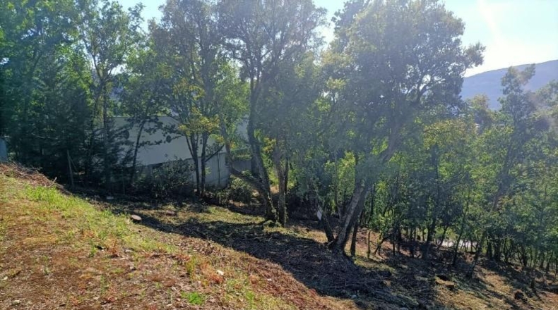 Orense - Ourense - 3042m2