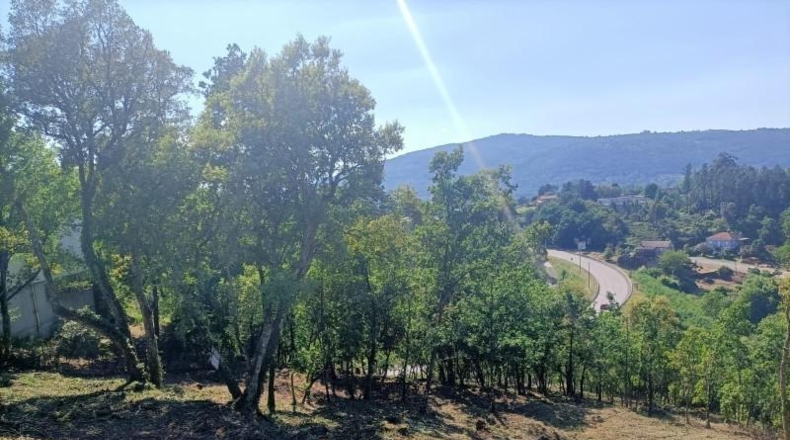 Orense - Ourense - 3042m2