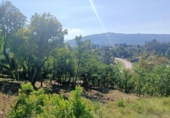 Parcela urbanizable en venta en la España, Ourense, ref: TR219080 foto