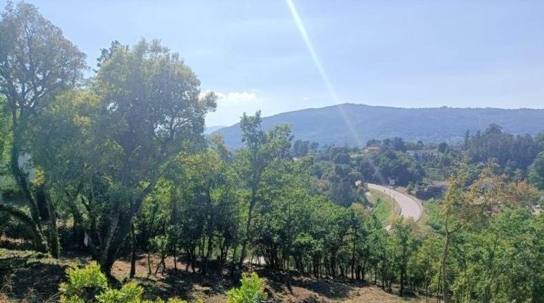 Orense - Ourense - 3042m2