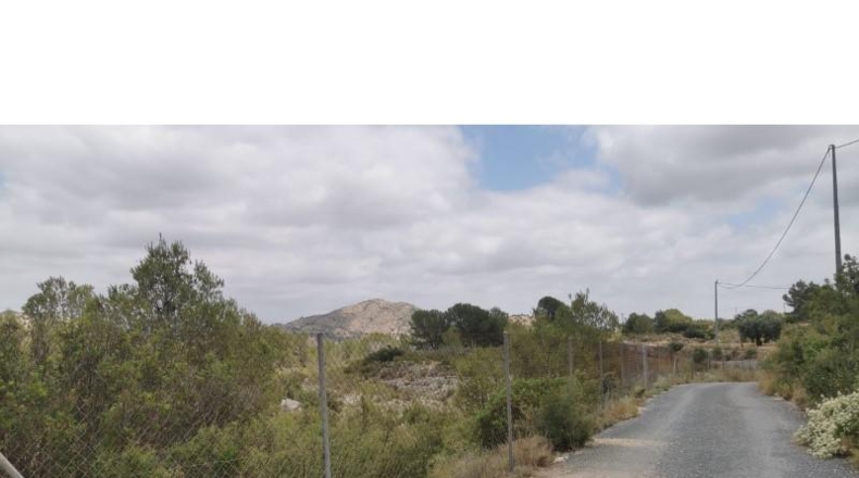 Alicante - Hondón de las Nieves - 11600m2