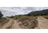 Terreno no urbanizable en venta en la España, Hondón de las Nieves, ref: TR416476 foto