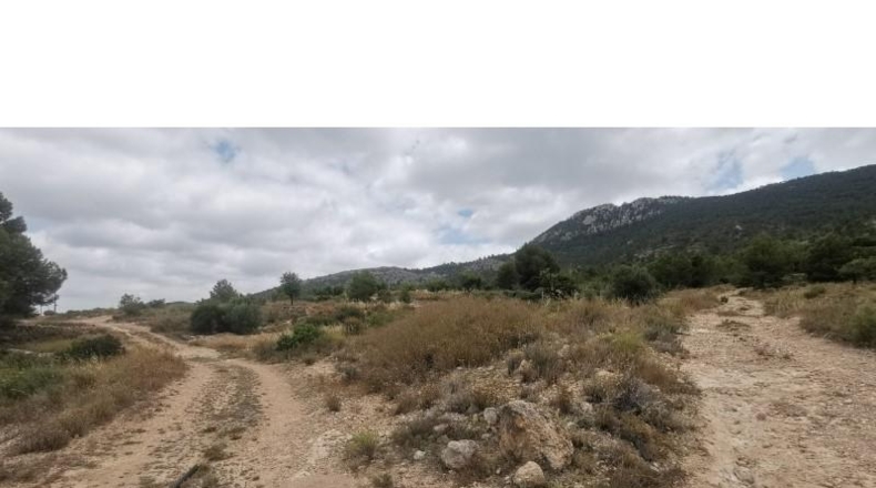Alicante - Hondón de las Nieves - 11600m2
