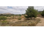 Terreno no urbanizable en venta en la España, Hondón de las Nieves, ref: TR416476 foto