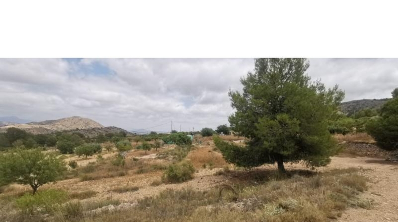 Alicante - Hondón de las Nieves - 11600m2