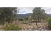 Terreno no urbanizable en venta en la España, Hondón de las Nieves, ref: TR416476 foto