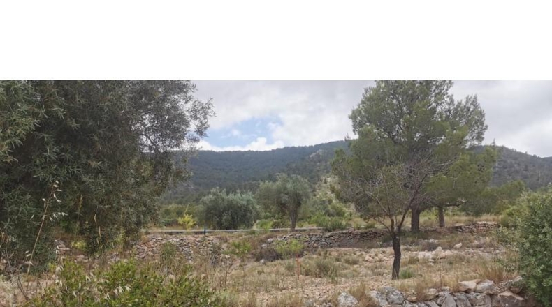 Alicante - Hondón de las Nieves - 11600m2
