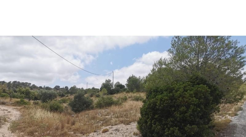 Alicante - Hondón de las Nieves - 11600m2