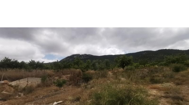 Alicante - Hondón de las Nieves - 11600m2