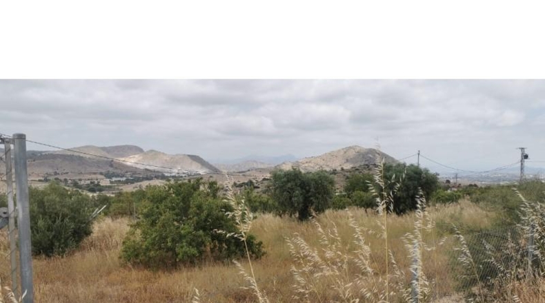 Alicante - Hondón de las Nieves - 11600m2