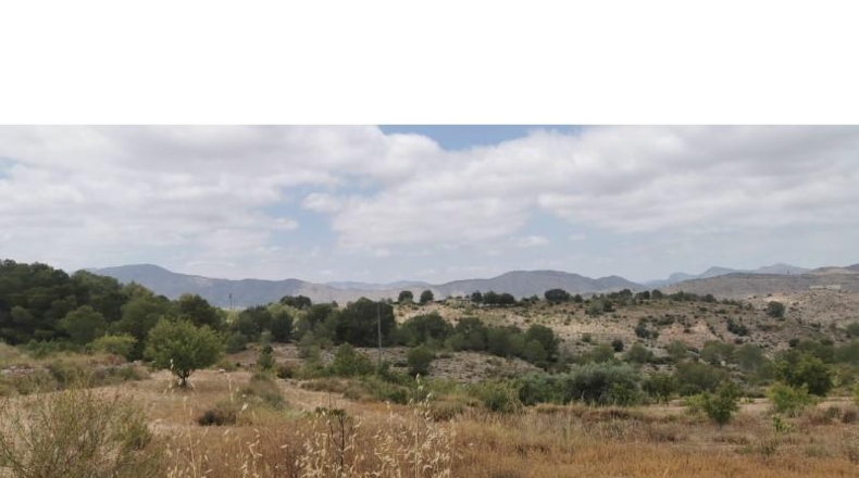 Alicante - Hondón de las Nieves - 11600m2