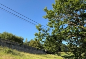 Terreno no urbanizable en venta en la España, Oviedo, ref: TR416477 foto