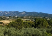 Casa con terreno en venta en la España, Albaida, ref: TR325957 foto