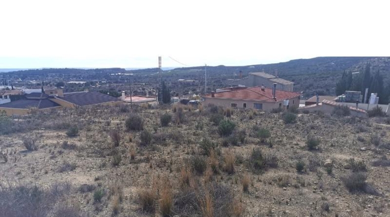 Alicante - Aspe - 1000m2