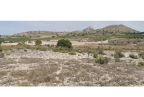 Salinas 31658&nbsp;m²