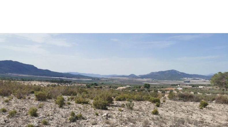 Alicante - Salinas - 31658m2