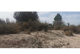 Salinas 31658&nbsp;m²