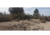 Terreno no urbanizable en venta en la España, Salinas, ref: TR416479 foto