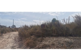 Salinas 31658&nbsp;m²