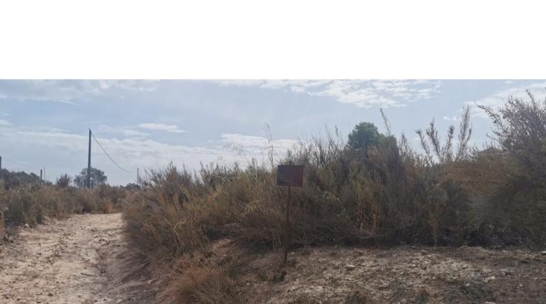 Alicante - Salinas - 31658m2