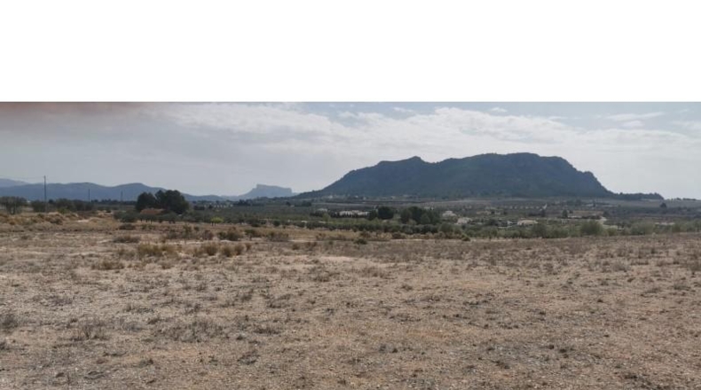 Alicante - Salinas - 31658m2