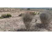 Terreno no urbanizable en venta en la España, Salinas, ref: TR416479 foto