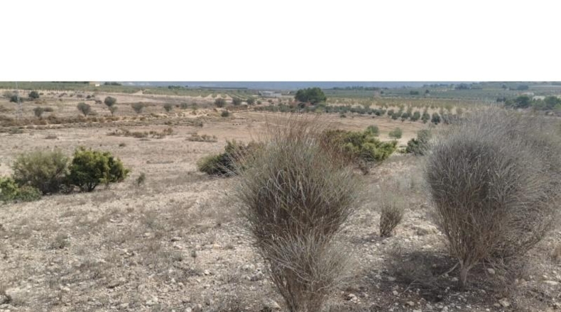 Alicante - Salinas - 31658m2
