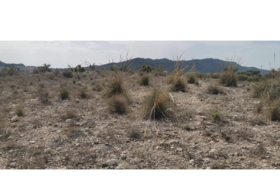 Salinas 31658&nbsp;m²