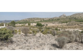 Salinas 31658&nbsp;m²