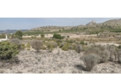 Terreno no urbanizable en venta en la España, Salinas, ref: TR416479 foto