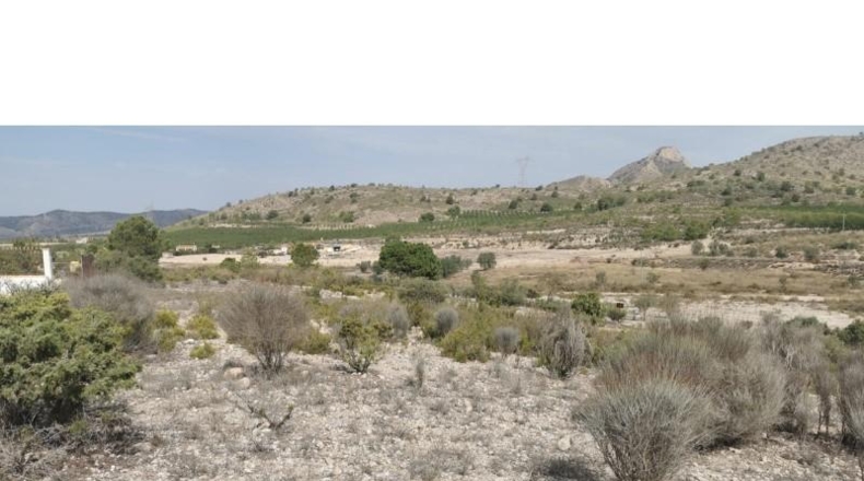 Alicante - Salinas - 31658m2