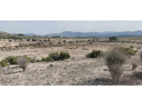 Salinas 31658&nbsp;m²