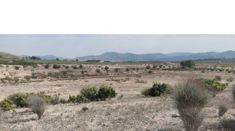 Alicante - Salinas - 31658m2
