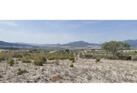 Salinas 31658&nbsp;m²