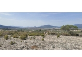 Terreno no urbanizable en venta en la España, Salinas, ref: TR416479 foto