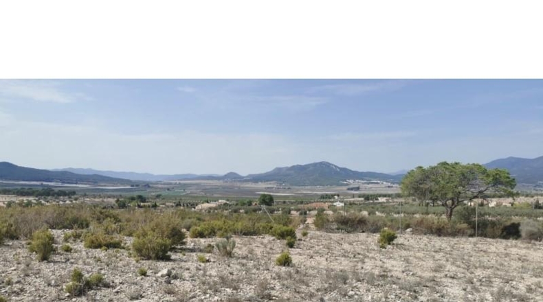 Alicante - Salinas - 31658m2