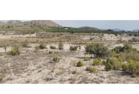 Salinas 31658&nbsp;m²
