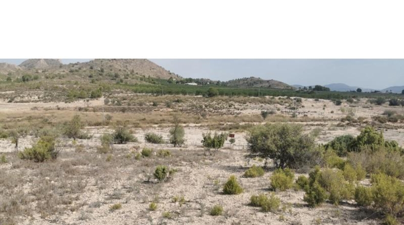 Alicante - Salinas - 31658m2