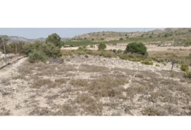 Salinas 31658&nbsp;m²