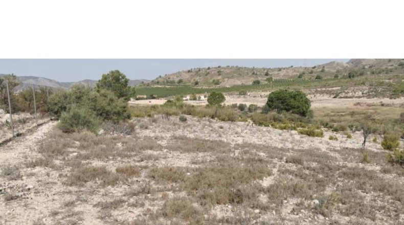 Alicante - Salinas - 31658m2
