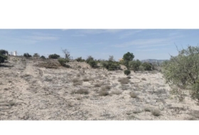 Salinas 31658&nbsp;m²