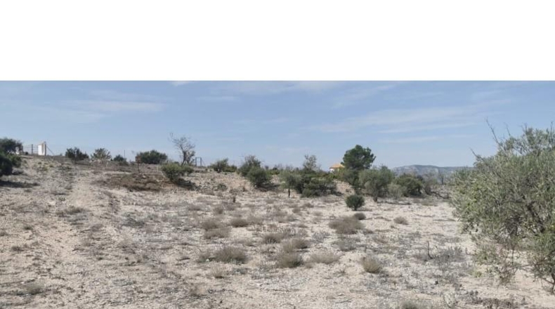 Alicante - Salinas - 31658m2
