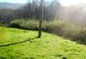 Urban land for sale on España, Culleredo, ref: TR113527 photo