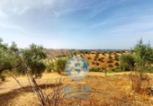Finca rústica en venta en la España, Montoro, ref: TR416491 foto