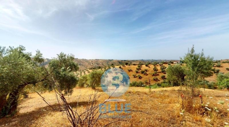 Córdoba - Montoro - 30000m2